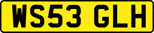 WS53GLH