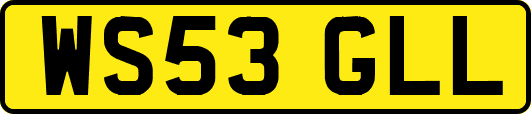 WS53GLL