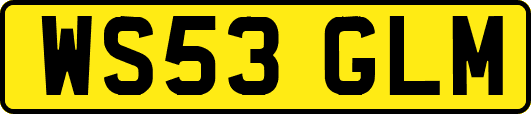 WS53GLM