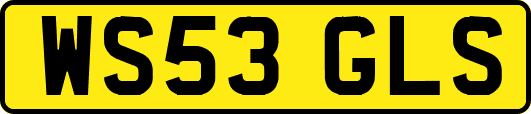 WS53GLS