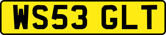 WS53GLT