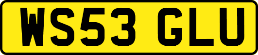 WS53GLU