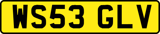WS53GLV