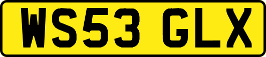 WS53GLX