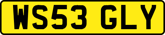 WS53GLY