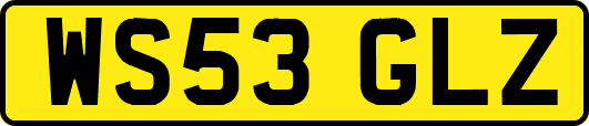 WS53GLZ