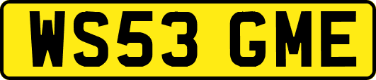 WS53GME