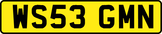WS53GMN