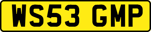 WS53GMP