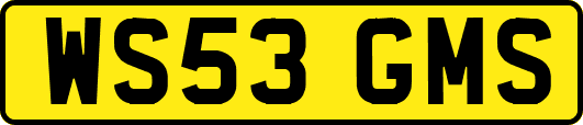 WS53GMS