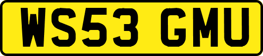 WS53GMU