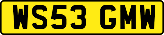 WS53GMW