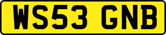 WS53GNB