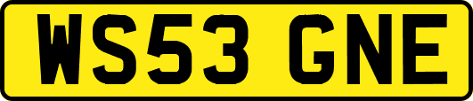 WS53GNE
