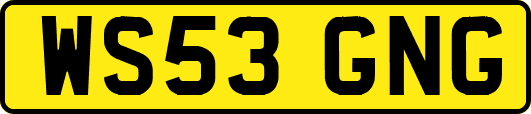 WS53GNG