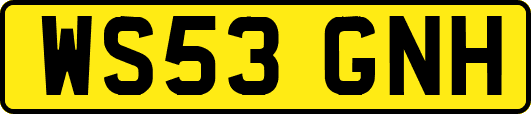 WS53GNH