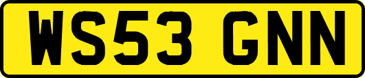 WS53GNN