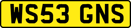 WS53GNS
