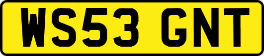 WS53GNT
