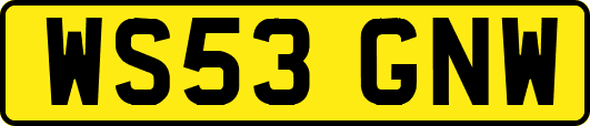 WS53GNW