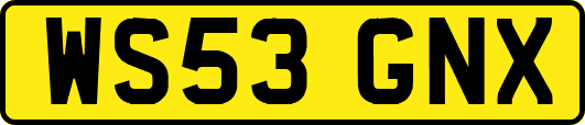 WS53GNX