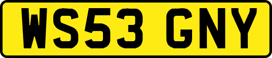 WS53GNY