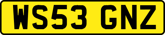 WS53GNZ