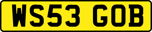 WS53GOB