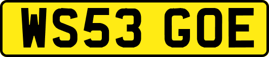 WS53GOE