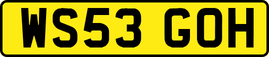 WS53GOH