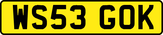 WS53GOK