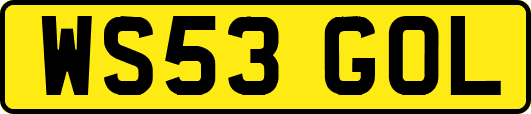 WS53GOL