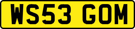 WS53GOM