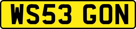 WS53GON