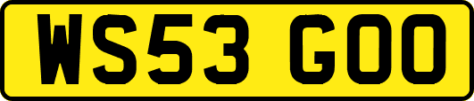 WS53GOO