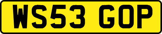 WS53GOP
