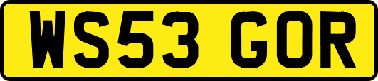 WS53GOR
