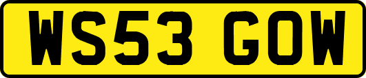 WS53GOW