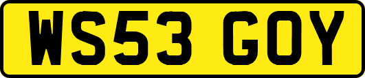 WS53GOY
