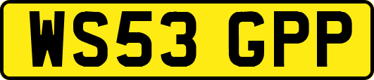 WS53GPP