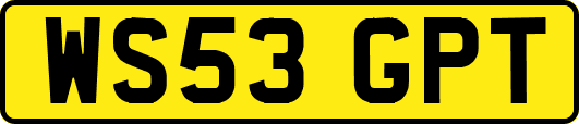 WS53GPT
