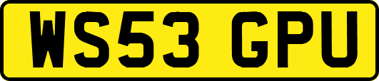 WS53GPU