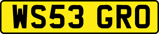 WS53GRO