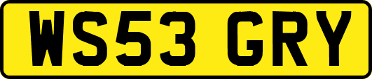 WS53GRY