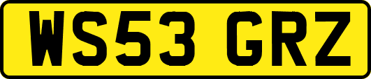 WS53GRZ