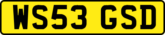 WS53GSD