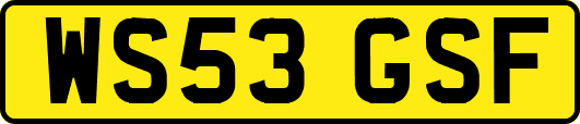 WS53GSF