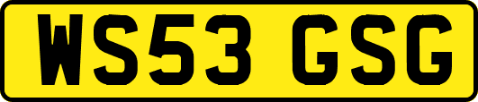 WS53GSG