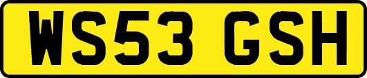 WS53GSH
