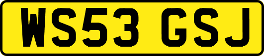 WS53GSJ